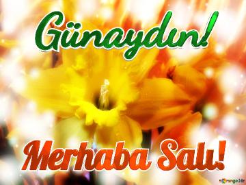 Günaydın! Merhaba Salı! 