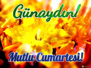 Günaydın! Mutlu Cumartesi! 