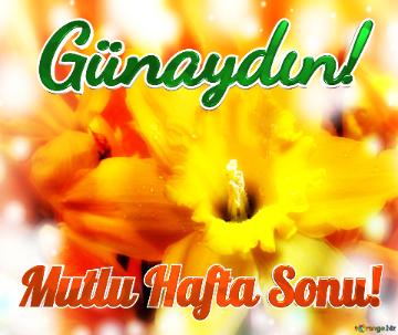 Günaydın! Mutlu Hafta Sonu!  Flexin` Harmony: Greetings In Full Blooming Excitement