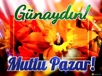 Günaydın! Mutlu Pazar!  Blissful Vibes: Greetings with Joyful Blooming Energy