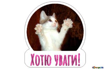 Хотю уваги!  Cat Sticker