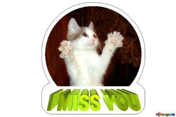 i miss you Cat Sticker