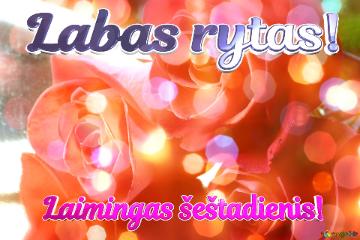 Labas rytas! Laimingas šeštadienis!  Greetings of Love: Roses in Floral Harmony Background