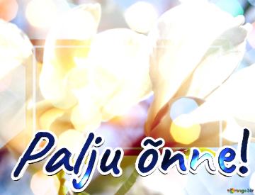 Palju õnne!  Love`s Spring Symphony: Magnolia Blooms In Radiant Harmony