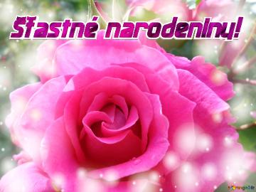 šťastné Narodeniny!  Floral Affection: Love Wishes In Background Symphony