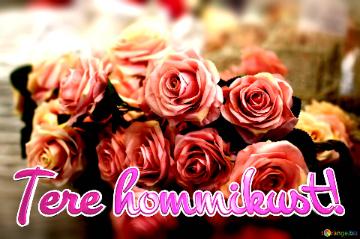 Tere Hommikust!  Floral Harmony: Roses Blossom In Love`s Greetings