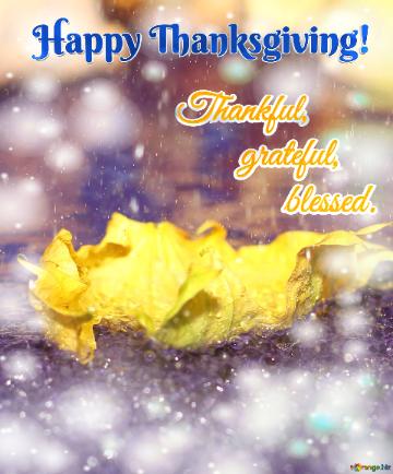Thankful,        Grateful,            Blessed. Happy Thanksgiving!  Whispers Of The Wind
