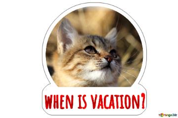 when is vacation? 
