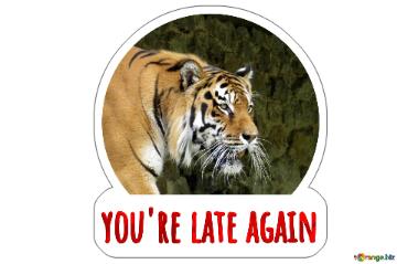 you`re late again  Tiger sticker