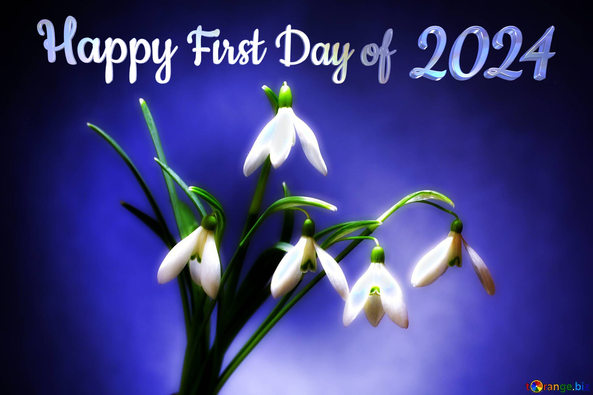 Happy First Day Of 2024 Free Image 11808