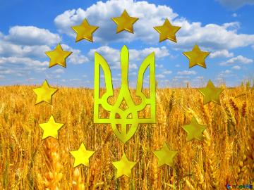 Ukraine Bright colors. Flag of Ukraine.