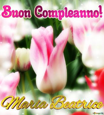 Buon Compleanno! Maria Beatrice   Il Tulipano è Un Simbolo Di Fortuna, Auguri Per Una Vita...