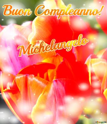 Buon Compleanno! Michelangelo  Il tulipano è un simbolo di devozione, auguri per una vita devota e piena di amore.