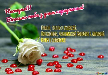 Настуня!!! Вітаємо тебе з днем народження! Краси, тепла і радості!  Посмішок, чарівності! Кохання і любові! Миру і спокою!           Rose Flower and hearts on a wooden background