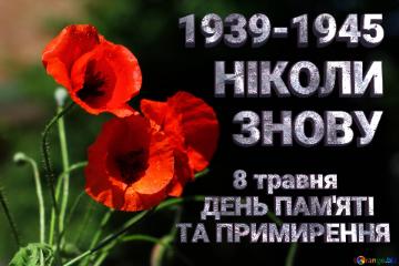 1939-1945 НІКОЛИ ЗНОВУ          8 травня     ДЕНЬ ПАМ`ЯТІ ТА ПРИМИРЕННЯ  Beautiful background with poppies