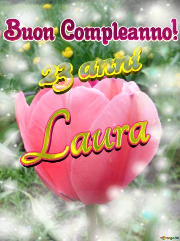 Buon Compleanno! Laura 23 Anni  Il Tulipano è Un Simbolo Di Perfezione, Auguri Per Una Vita...