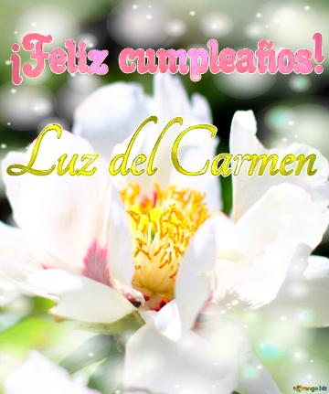 ¡Feliz cumpleaños! Luz del Carmen  