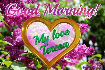  Good Morning! My love  Teresa  Mylove Teresa 
