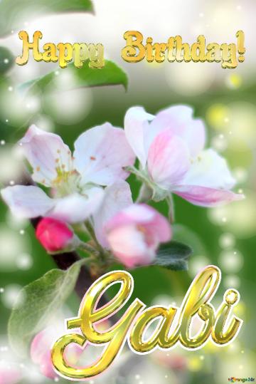 Happy  Birthday! Gabi  Macro flower Apple background