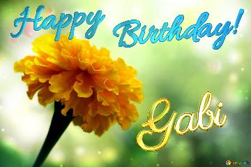 Happy               Birthday! Gabi  Marigold Bokeh Background