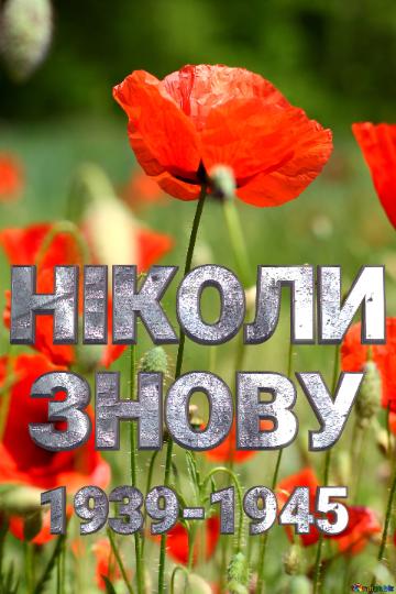 НІКОЛИ ЗНОВУ 1939-1945 Red poppy