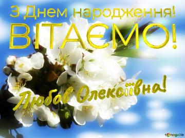 Любов Олексіївна! ВІТАЄМО! З Днем народження! Коли білі квіти на дереві зацвітають, то немовби вся природа оживає, і все навкруги здавалося більш яскравим і красивим.