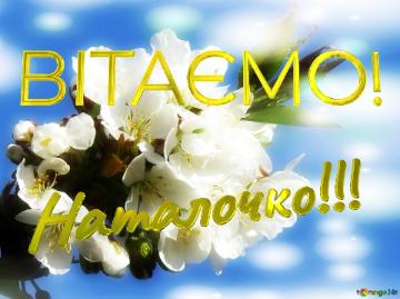 ВІТАЄМО! Наталочко!!!  Коли білі квіти на дереві зацвітають, то немовби вся природа оживає, і все навкруги здавалося більш яскравим і красивим.