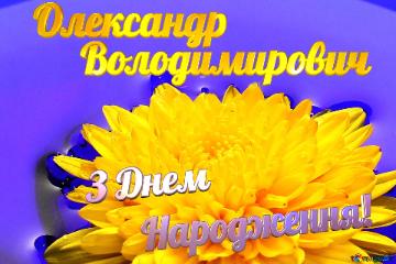 З Днем       Народження! Олександр      Володимирович  Ukrainian flower