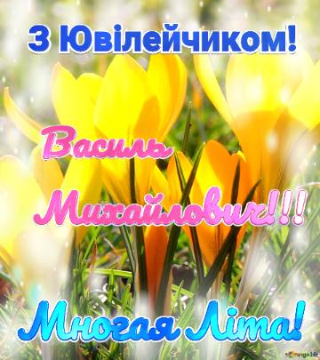 З Ювілейчиком! Многая Літа! Василь  Михайлович!!! 