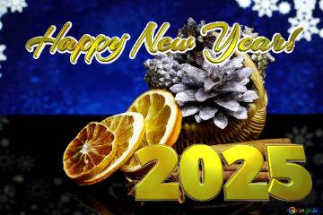 2025 Happy New Year! 