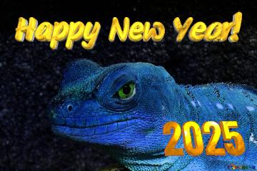 2025 Szczęśliwego Nowego Roku!  Happy New Year! 