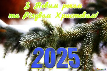 2025     З Новим роком та Різдвом Христовим!   Snowy Pine Branches