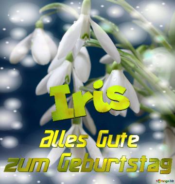     Alles Gute  zum Geburtstag Iris  Blumenstrauß von Frühlingsblumen