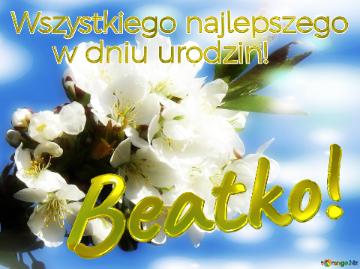 Beatko! Wszystkiego Najlepszego    W Dniu Urodzin!  Коли білі квіти на дереві...