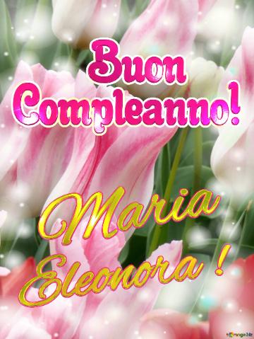 Buon  Compleanno! Maria Eleonora ! Buona Primavera, Che Questi Tulipani Ti Portino La Speranza E La ...