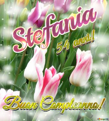 Buon Compleanno! Stefania 54 Anni!  Il Tulipano è Un Simbolo Di Gratitudine, Auguri Per Una Vita...