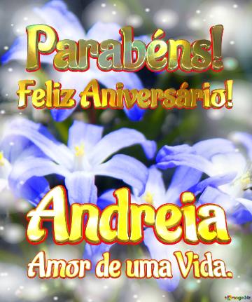 Feliz Aniversário! Parabéns! Andreia Amor De Uma Vida.  Beleza Efêmera