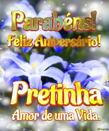 Feliz Aniversário! Parabéns! Pretinha  Amor de uma Vida.  Beleza Efêmera