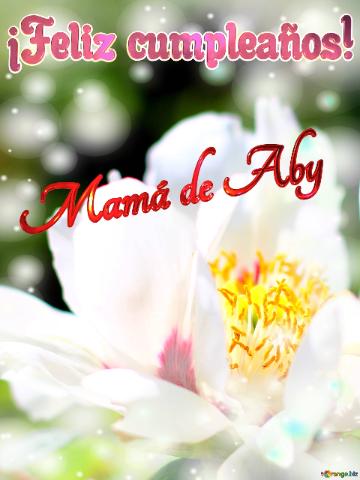 ¡feliz Cumpleaños! Mamá De Aby  Flores De La Primavera: Una Explosión De Color ...