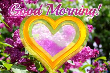 Good Morning! Heart Frame. Bright picture with lilac flowers