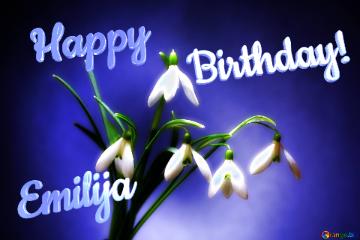 Happy               Birthday! Emilija                  