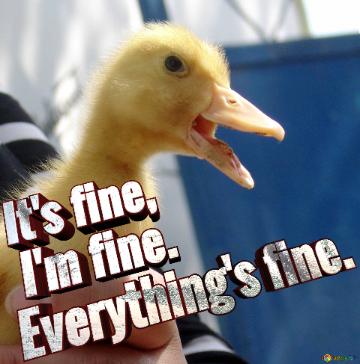 It`s fine,  I`m fine.  Everything`s fine. 