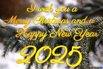 Merry Christmas And A 2025  Happy New Year I Wish You A  Rime Of Spruce Branches