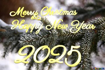 Merry Christmas 2025  Happy New Year & 