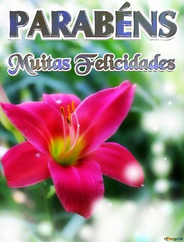 PARABÉNS Muitas Felicidades  Jardim da Vida