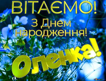 ВІТАЄМО! Оленка!      З Днем  народження!  Bouquet Of Forest Blue...