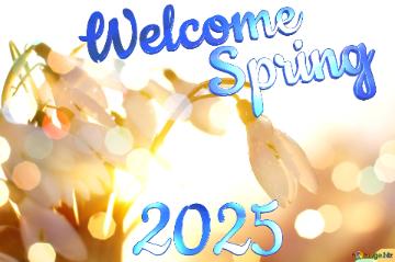 Welcome Spring 2025  Spring Background