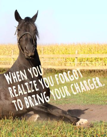 When You  Realize You Forgot  To Bring Your Charger.  Funny Horse Meme 