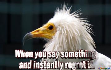 When You Say Something     And Instantly Regret It.  The Beak Of A Vulture