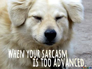 When Your Sarcasm                Is Too Advanced.  A Dog`s Life